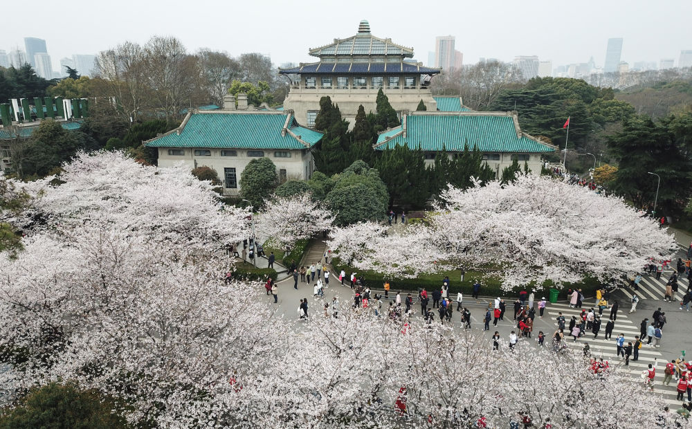3月13日,来自各地的援鄂医护人员在武汉大学校园共赴樱花之约.