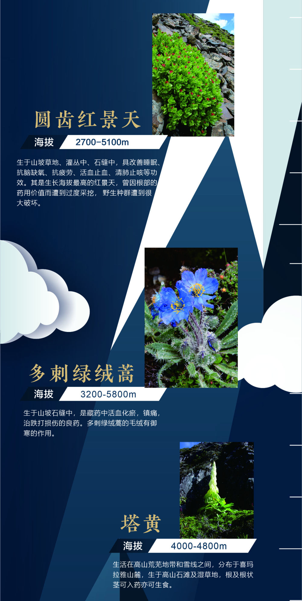 什么是全球气候变化 如何应对 5209587_24bbce67-6745-4c83-8201-8694b98b320f.jpg
