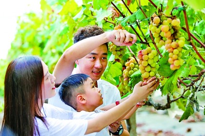 红船起航地描绘共同富裕新画卷 红船起航地描绘共同富裕新画卷