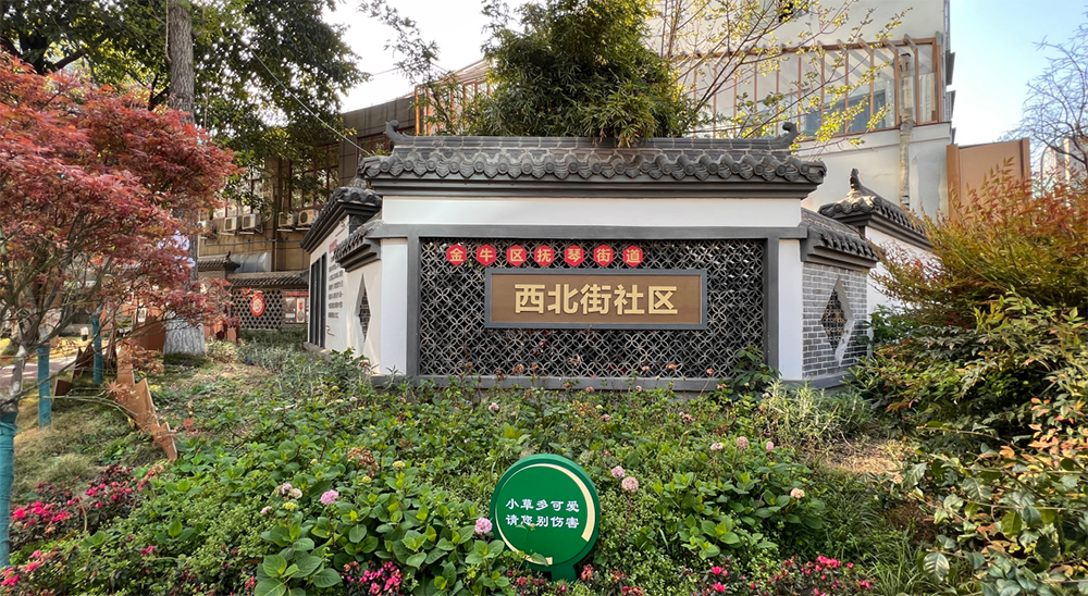 西北街社区。人民网记者 李昊洋摄