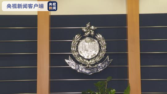 专访香港警务处处长邓炳强坚决支持香港国安法该法令警队执法有法可依