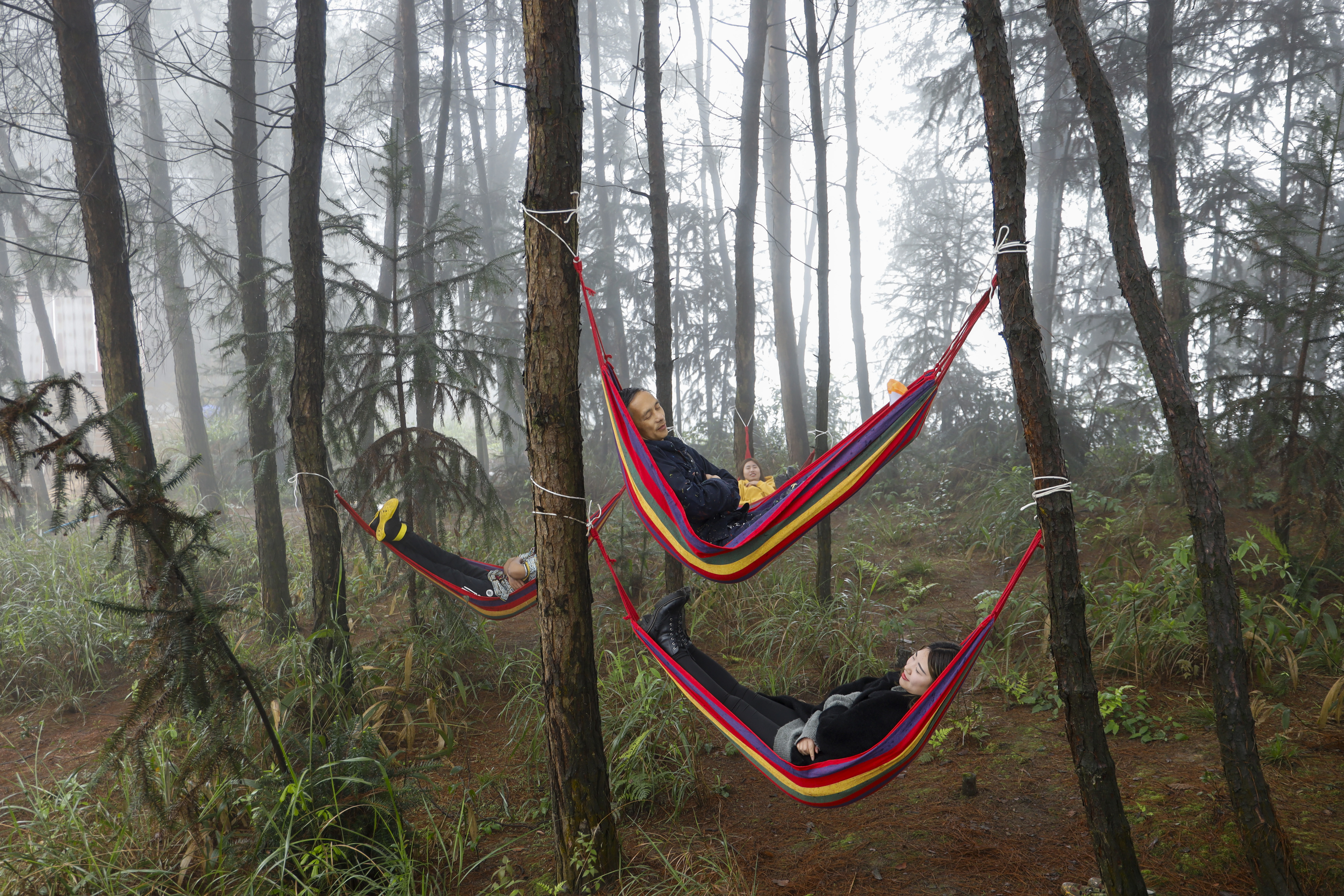 3月20日,游客在涪陵区蔺市镇泡桐村参加森林吊床睡眠体验行为艺术活动