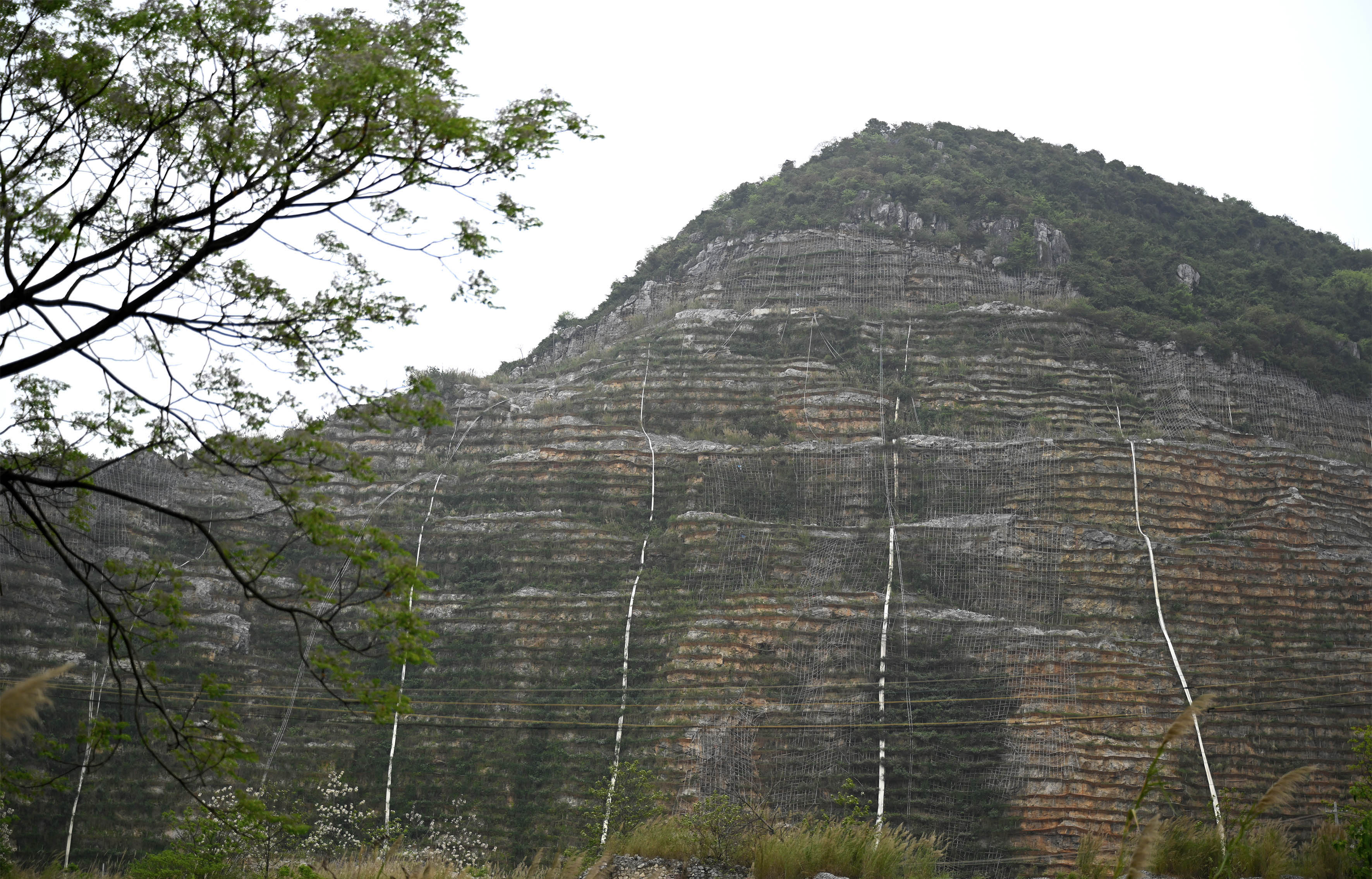 图片新闻峭壁上的植绿人