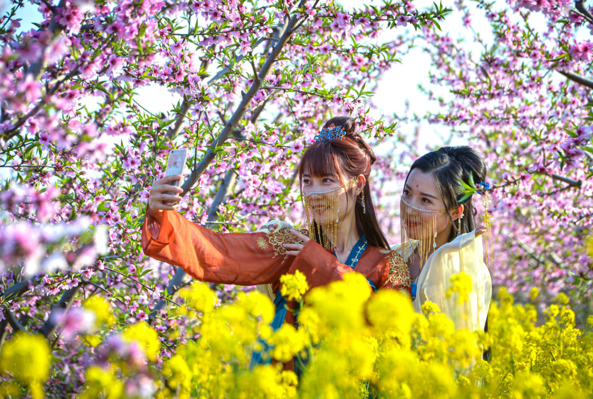 踏青赏花享春光