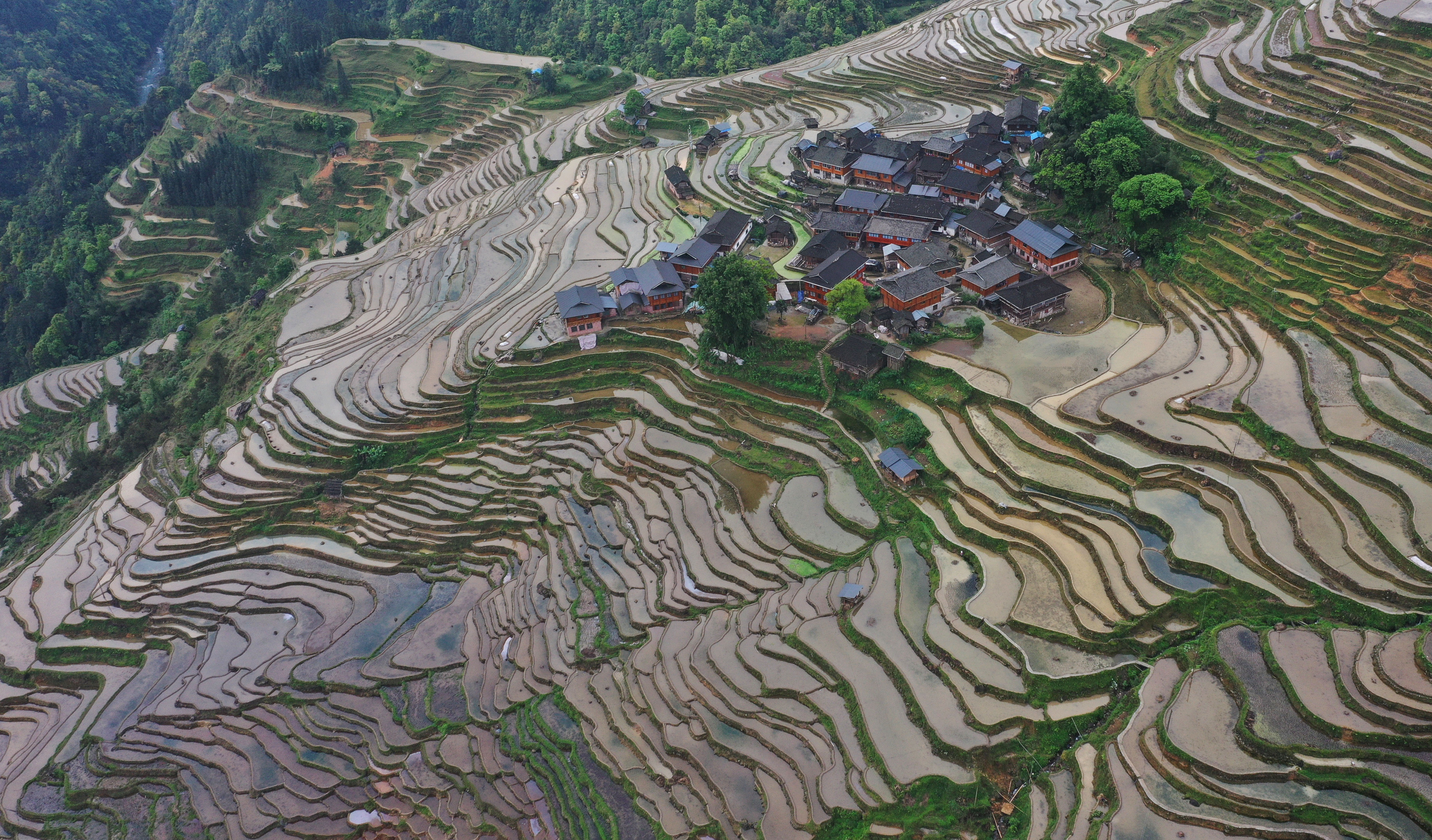 图片新闻贵州从江梯田美