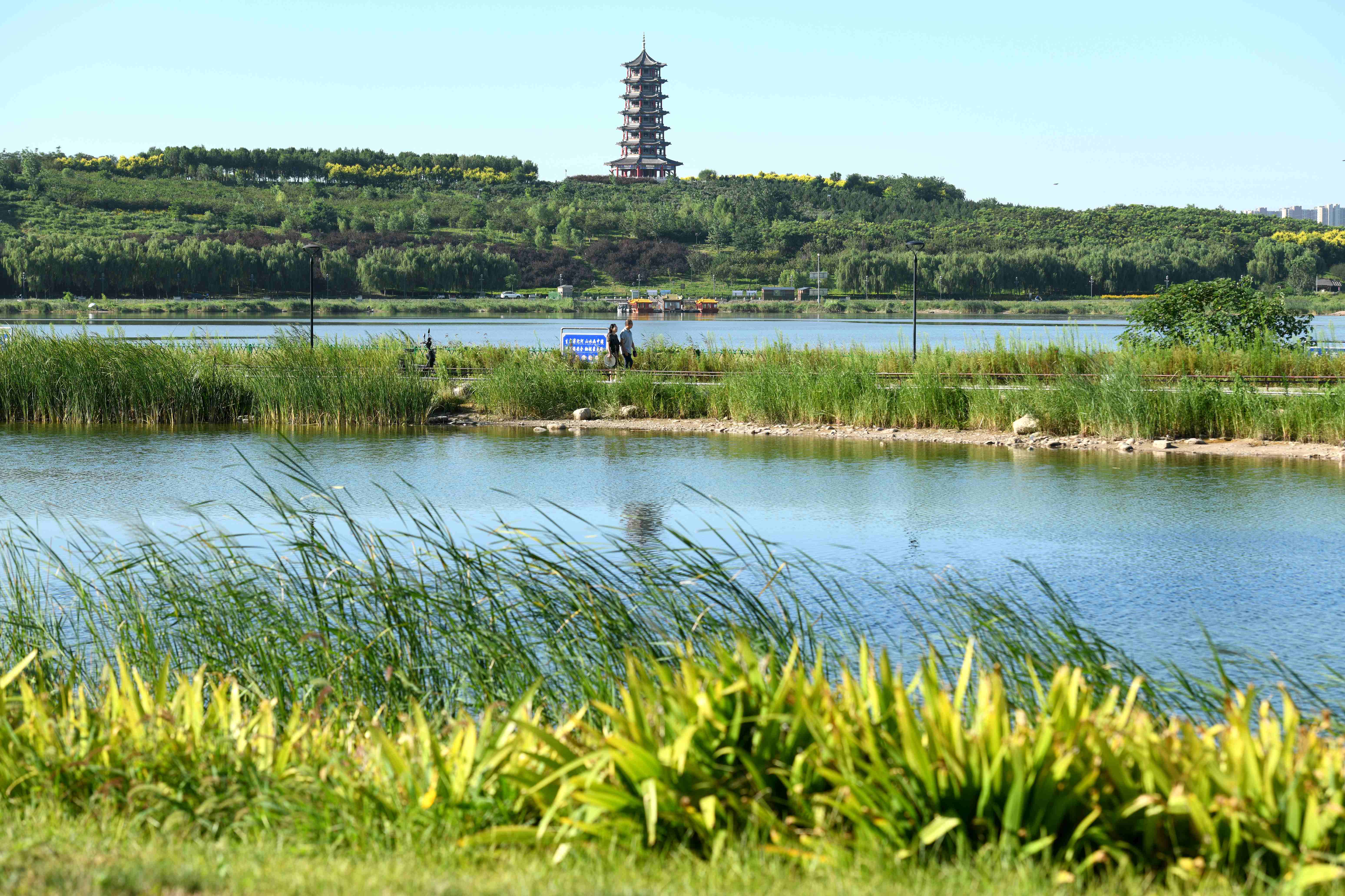 石家庄滹沱河景区图片图片