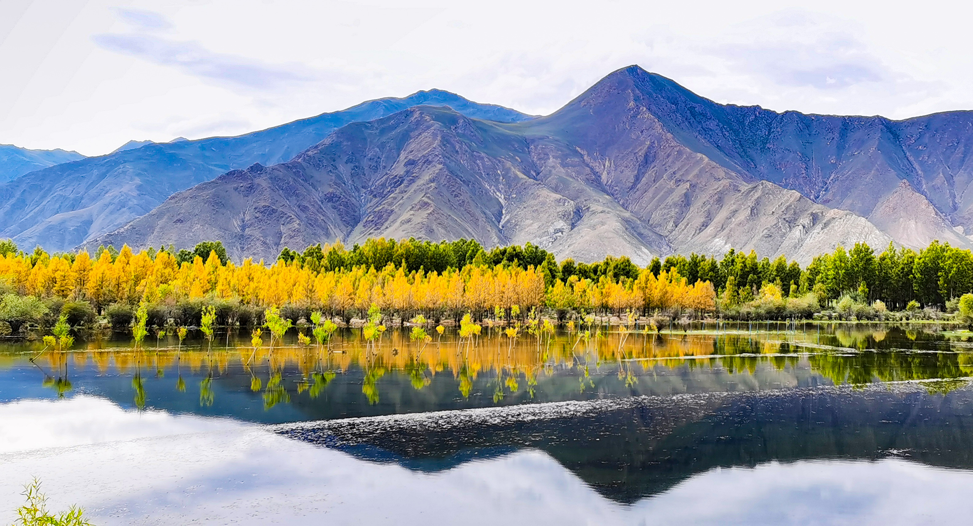 2021年9月11日高原秋日景色美拉萨市达孜区塔杰乡的秋景(9月11日摄)