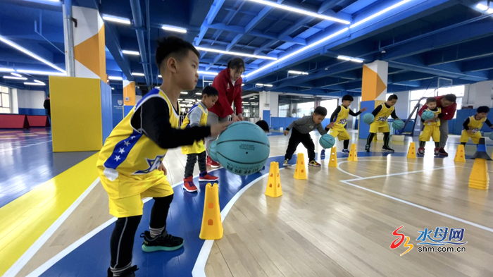 青少年篮球培训全指南：课程体系、基本功训练与选班收费标准一次讲清