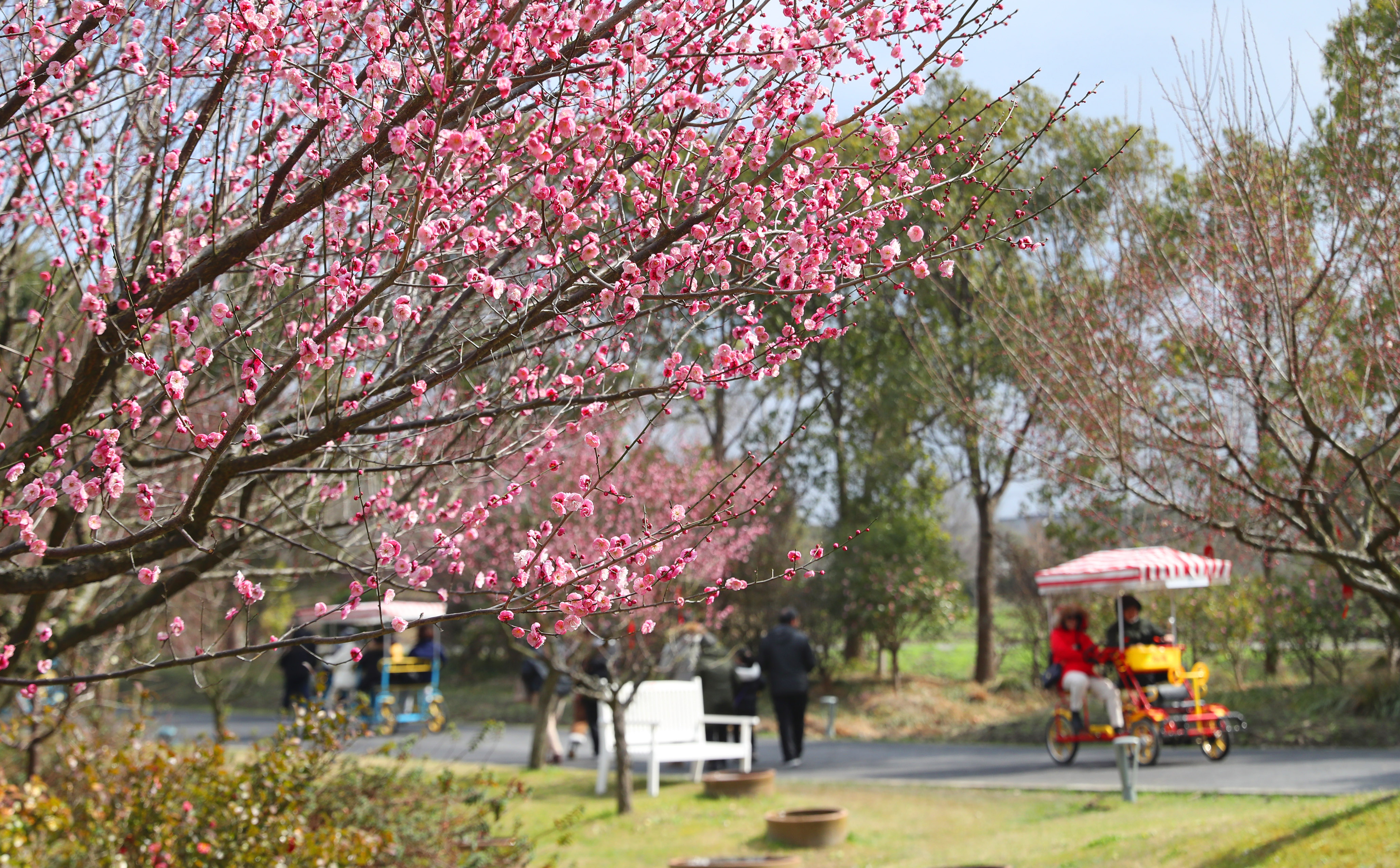图片新闻踏青游玩过立春