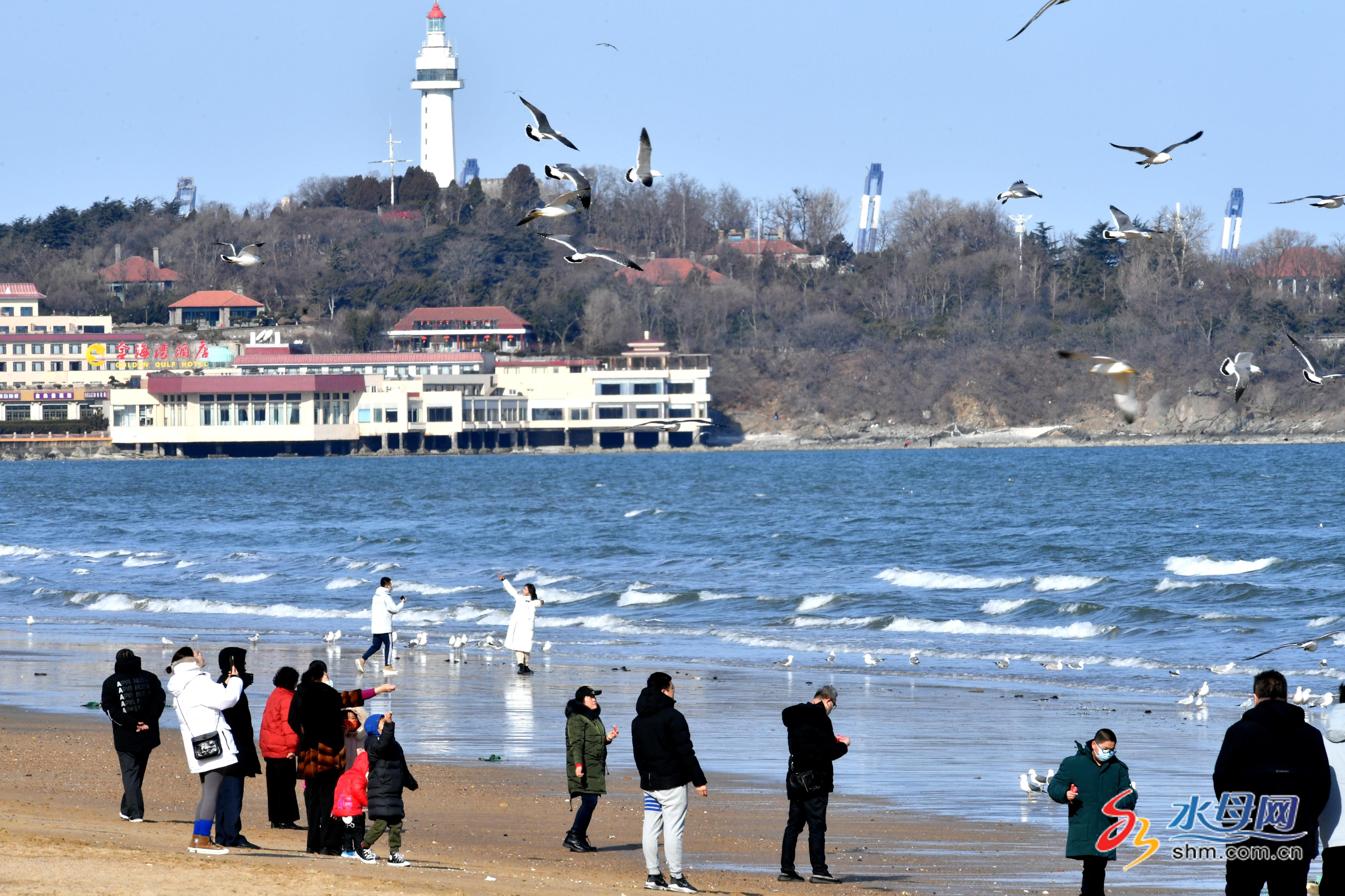 烟台第一海水浴场赶海图片