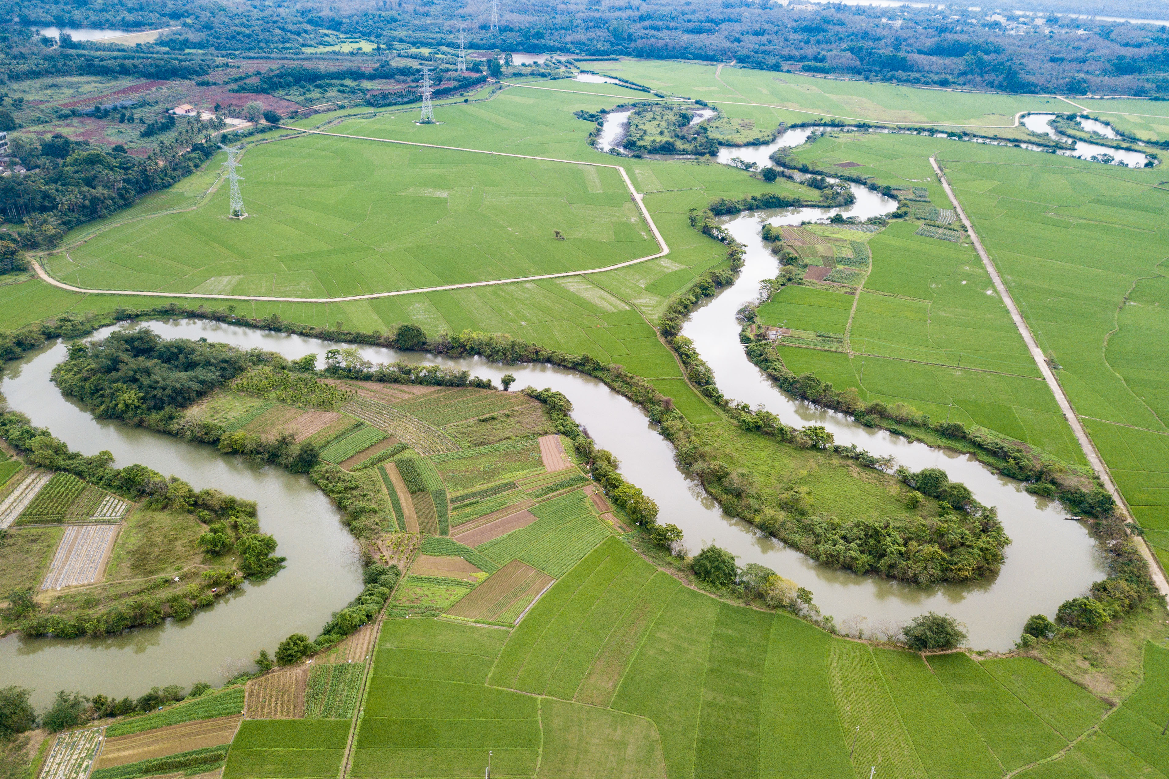 图片新闻海口春到三十六曲溪
