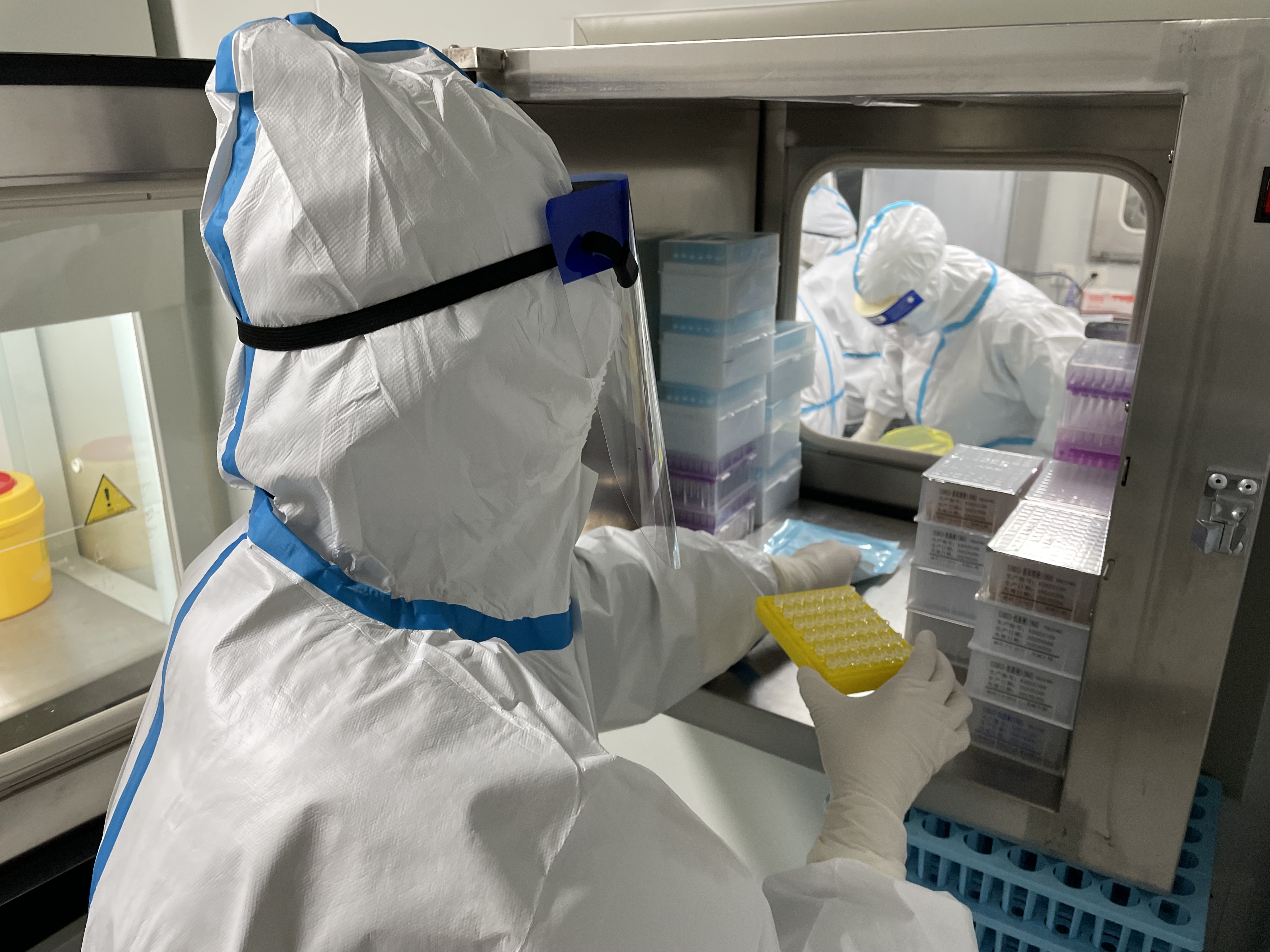 福山区pcr实验室的铿锵玫瑰跑出核酸检测加速度