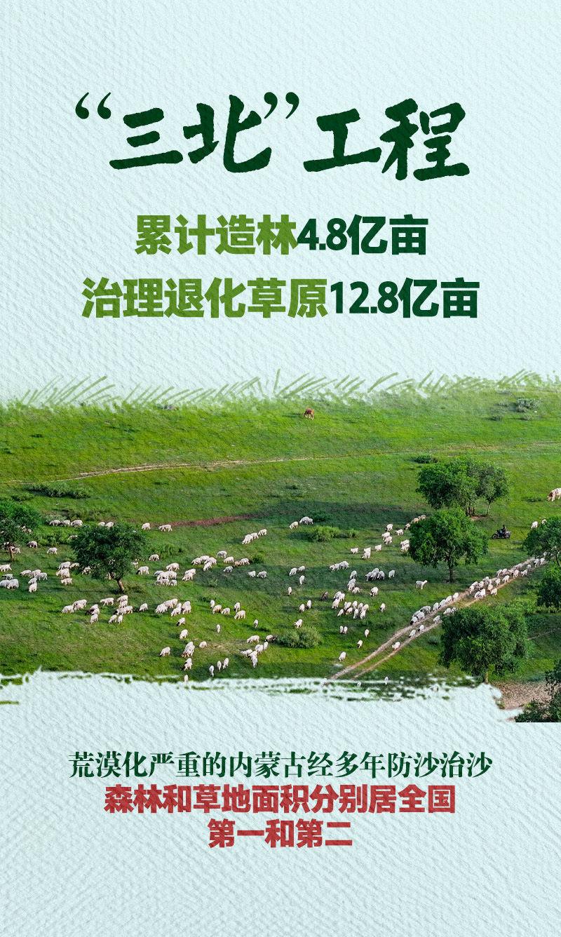 再迎风口十个关键词重新定义中国西部新华深读开云体育入口(图3)