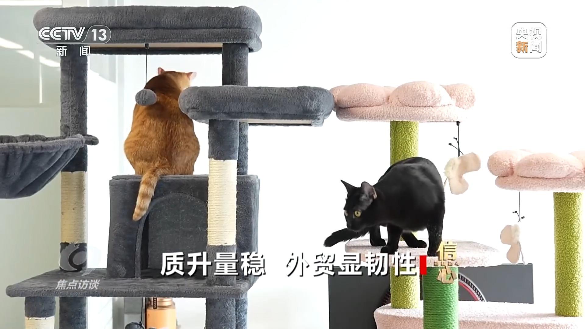 熊猫体育网址焦点访谈丨“从生产到物流从口岸到码头”我国外贸“跑”出好成绩(图13)