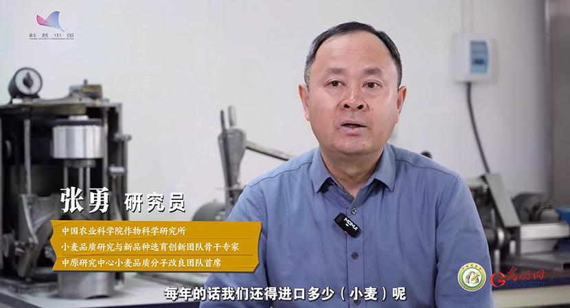 【大国粮策】从田间到舌尖，一粒小麦的“72变”