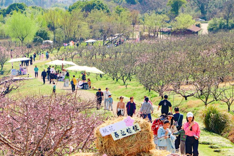 “春启良渚”系列活动图片。良渚博物院供图