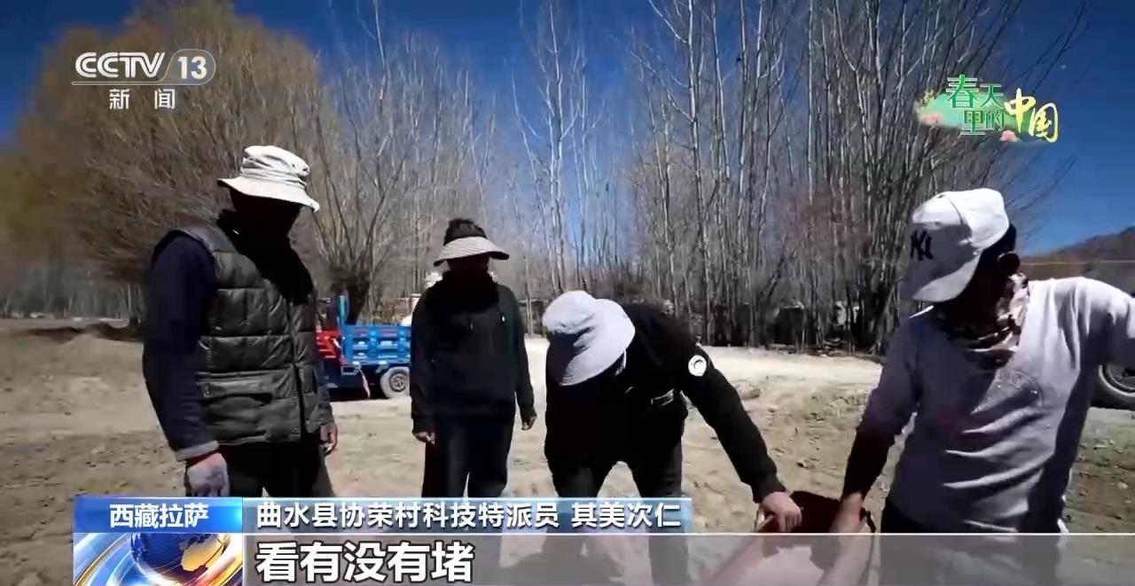 科学管理助力春耕 各地田间地头热闹迎春(图2)