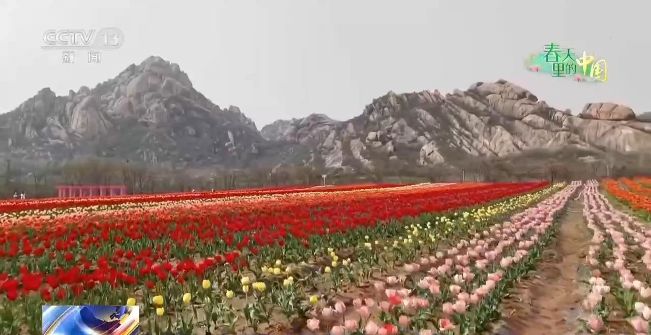 科学管理助力春耕 各地田间地头热闹迎春(图11)