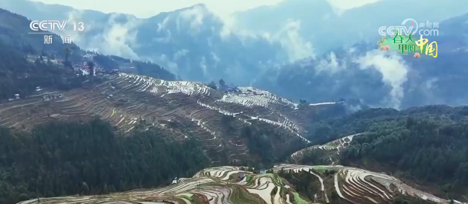 万象“耕”新绘“丰”景 各地多彩春耕画面拼就“三农”丰收盛景图(图15)