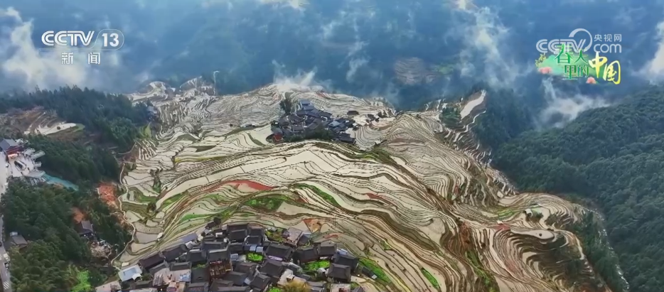 万象“耕”新绘“丰”景 各地多彩春耕画面拼就“三农”丰收盛景图(图14)