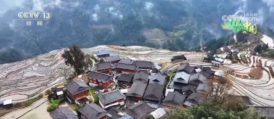 万象“耕”新绘“丰”景 各地多彩春耕画面拼就“三农”丰收盛景图(图13)