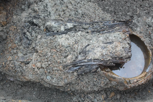 出土于墓壁龛内的楚简。陈新平 摄