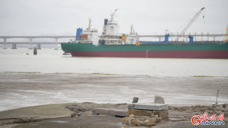 探秘海丝起点：重温刺桐盛世，赓续海丝文脉