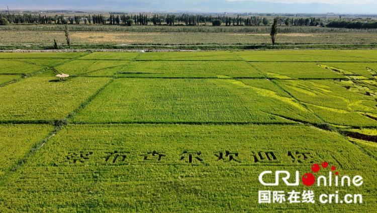 图片默认标题_fororder_图片1