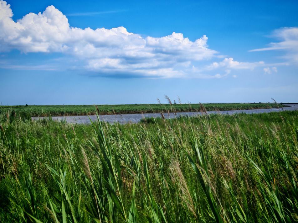 “两山”理念与美丽中国丨红滩绿苇 鸥鹭齐飞：守护身边的“自然会客厅”