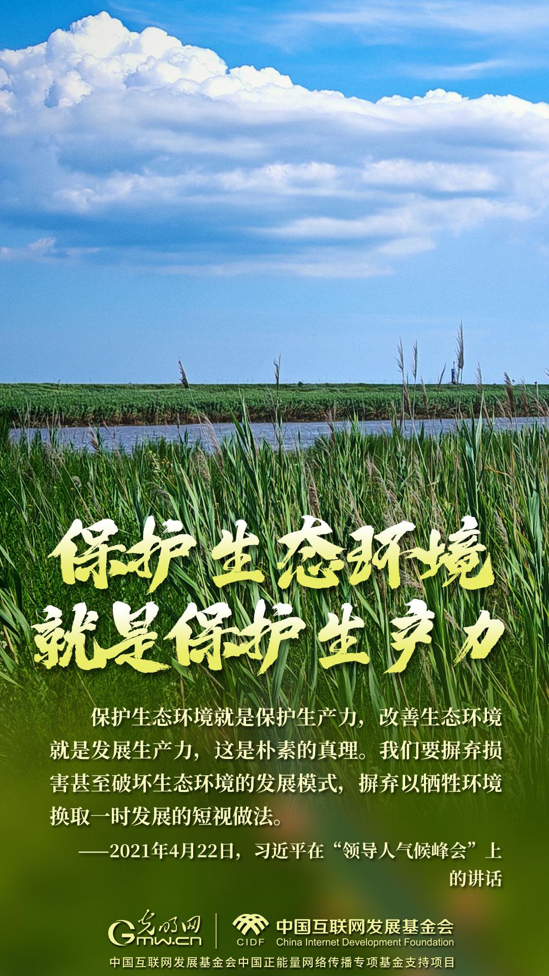 “两山”理念与美丽中国丨红滩绿苇 鸥鹭齐飞：守护身边的“自然会客厅”