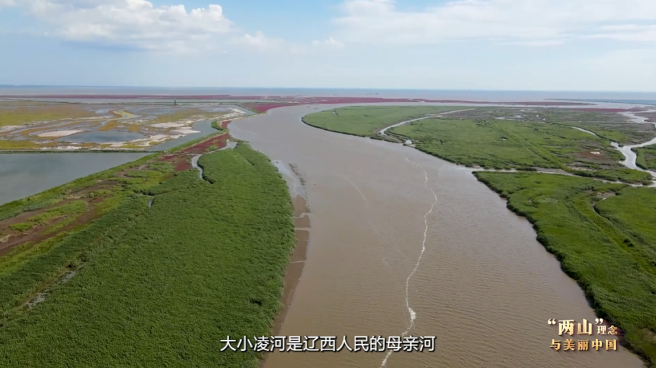 “两山”理念与美丽中国丨红滩绿苇 鸥鹭齐飞：守护身边的“自然会客厅”