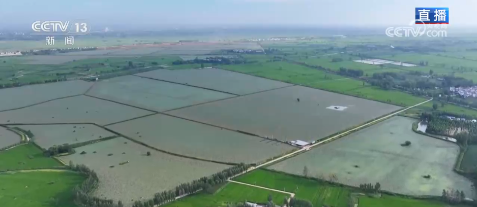 “水患”化“水利” 因地制宜发展特色种植 结出乡村振兴“共富