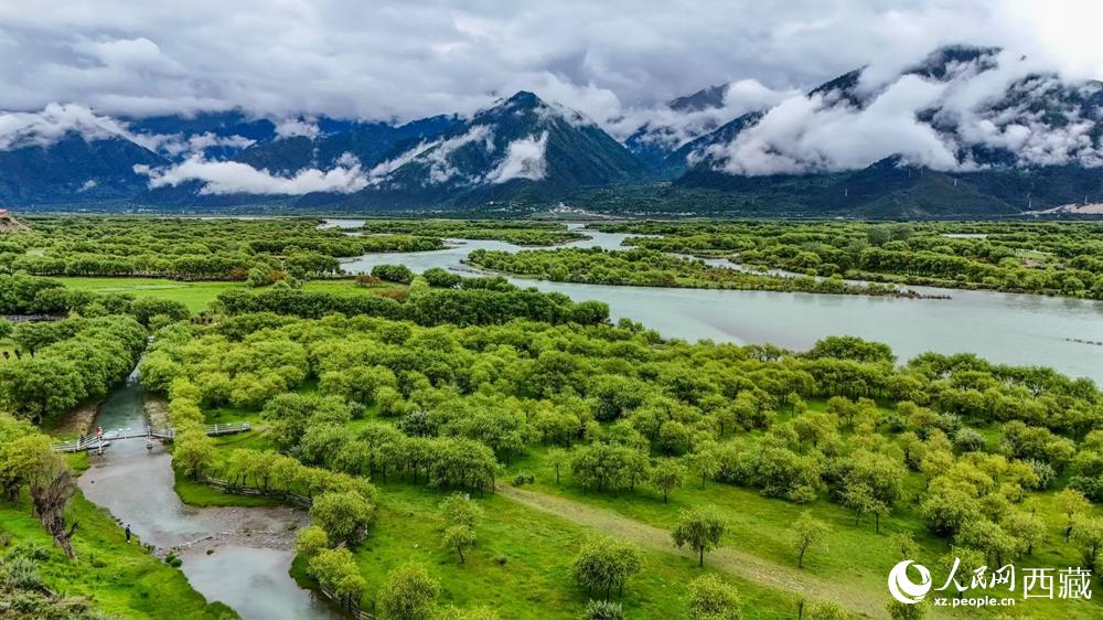鸟瞰盛夏季节的雅尼湿地风光。人民网记者 次仁罗布摄