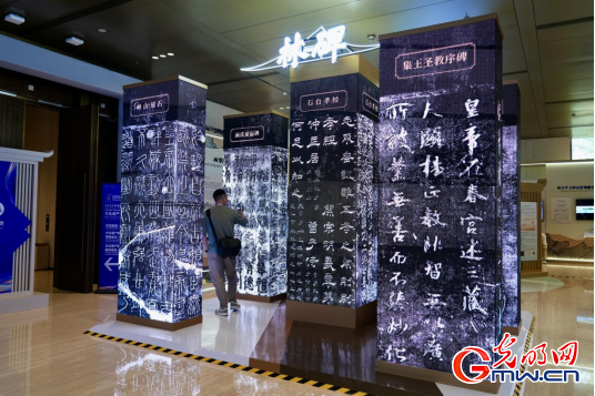 一组图带你回顾世界互联网大会文化遗产数字化论坛精彩瞬间