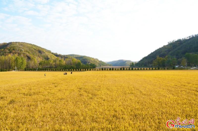 红星照耀中国｜359旅后人谈南泥湾精神：实干当头 脚踏实地
