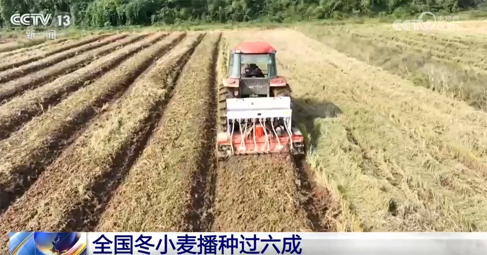 “良机+良技+良种”助力秋冬种按下“加速键” 端稳端牢“中国饭碗”-第3张图片-奈飞网