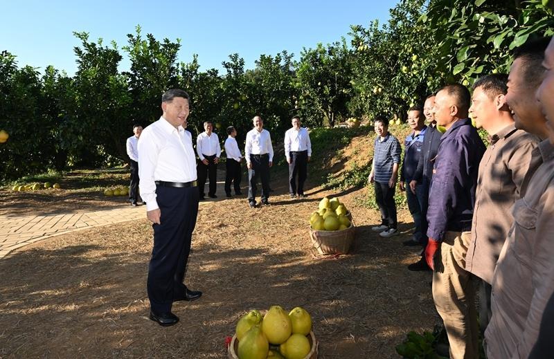 时政微观察丨广东之行，总书记强调两种精神-第4张图片-奈飞网