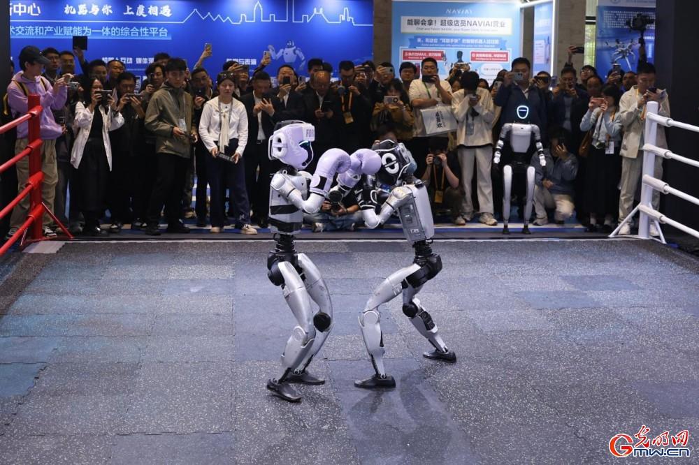 透过乌镇看世界,携手走向数智未来——来自2025年世界互联网大会乌镇峰会的观察