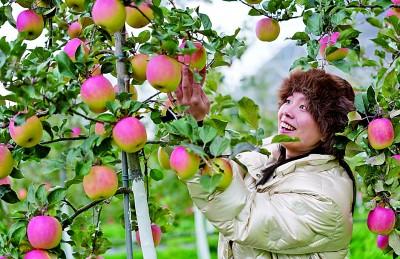 咱的日子越过越有奔头——“十四五”时期我国脱贫攻坚成果持续巩固拓展