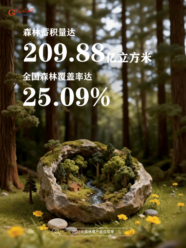 动态海报丨绿满山川，金满坡！数读2025林草成绩单