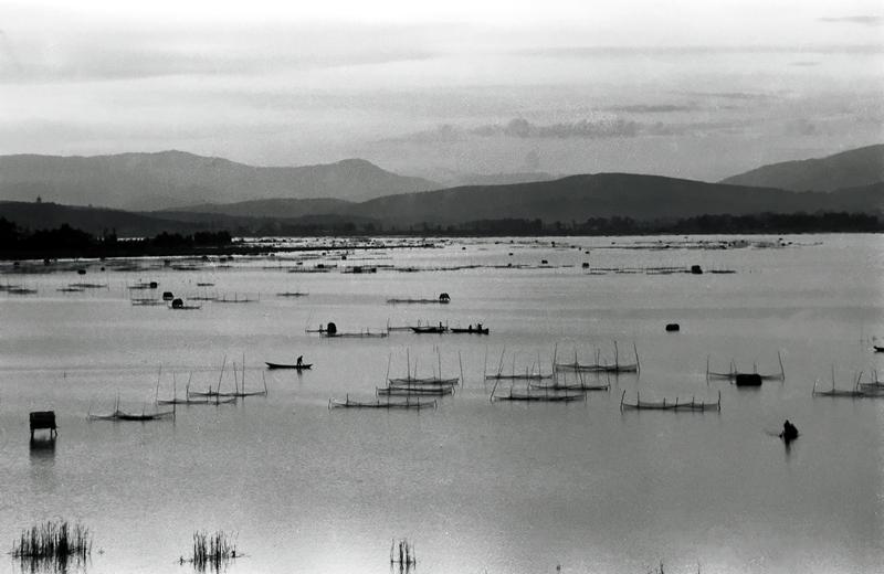 新春走基层｜山朝水朝，不如人来朝——异龙湖畔感受高原湖泊治污成果