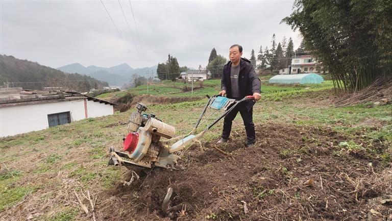 【新春走基层·走进贵州】峰岩村：跟着农艺师去下乡