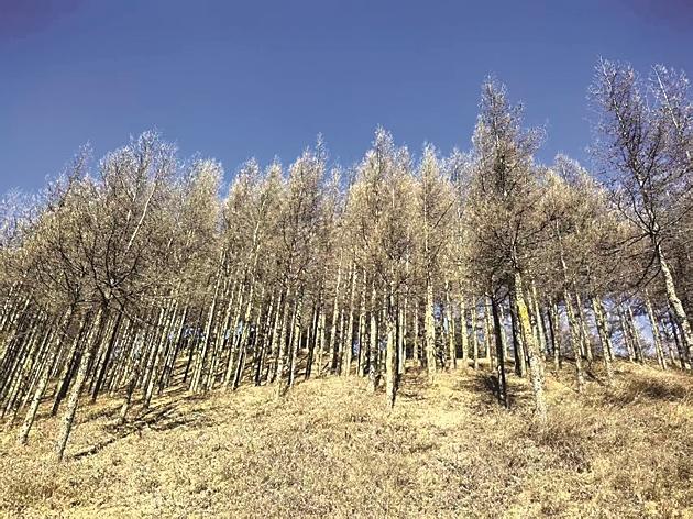 【新春走基层·走进西海固】那块原本贫瘠的土地,“肥沃”起来了