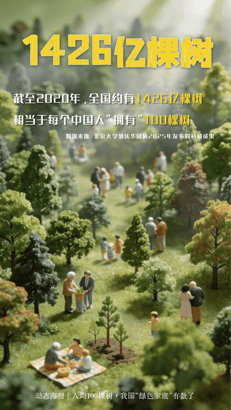 人均100棵树！一组动态海报看我国“绿色家底”