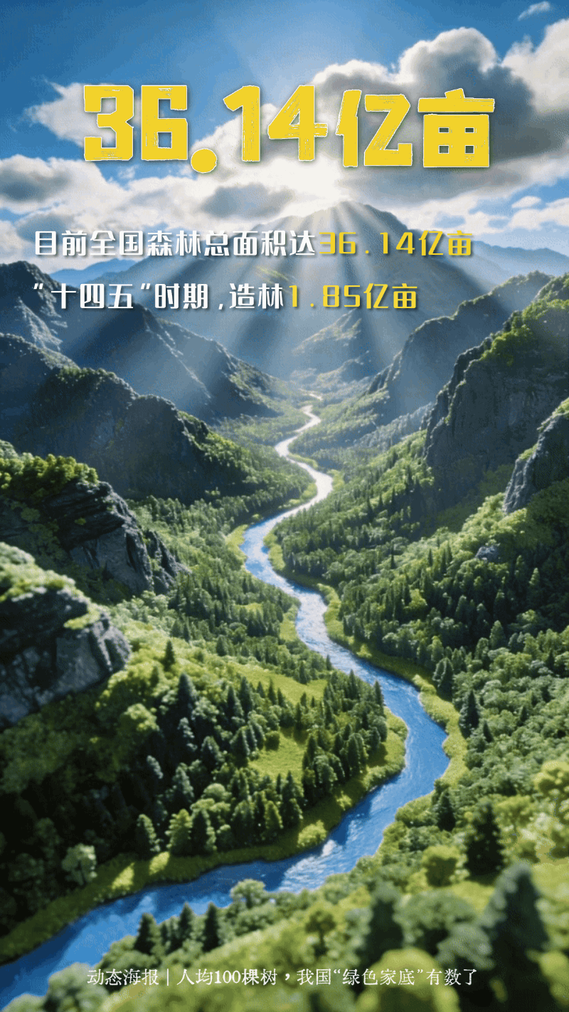 人均100棵树！一组动态海报看我国“绿色家底”
