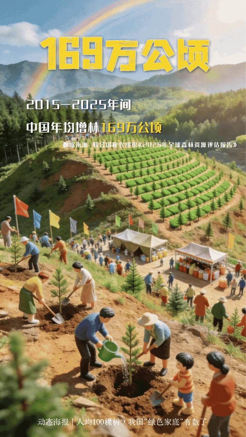 人均100棵树！一组动态海报看我国“绿色家底”