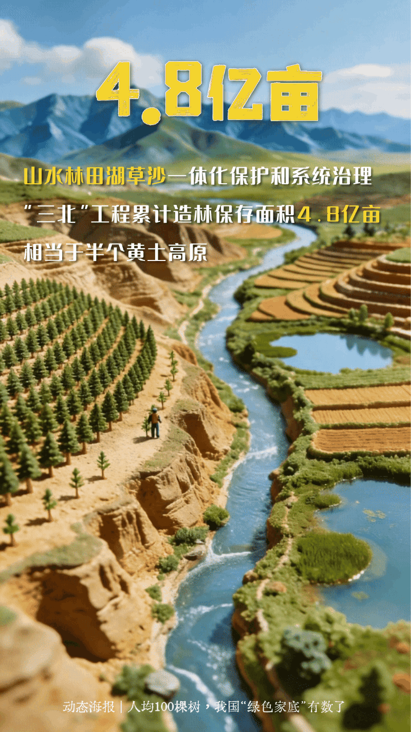 人均100棵树！一组动态海报看我国“绿色家底”