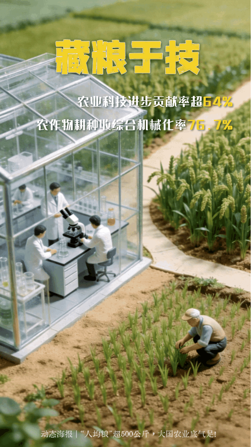 动态海报 | “人均粮”超500公斤，大国农业底气足！