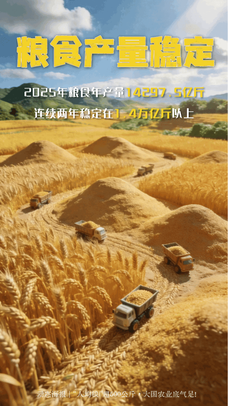 动态海报 | “人均粮”超500公斤，大国农业底气足！